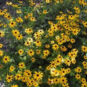 Meet your Posher, Margot